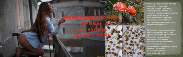 крисы Абдулино