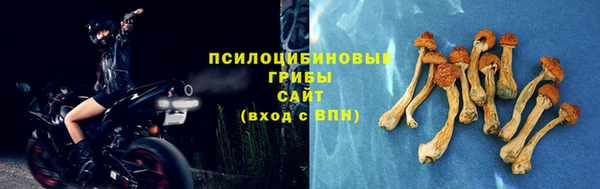 крисы Абдулино