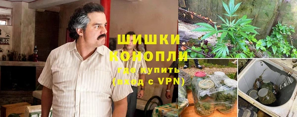 крисы Абдулино