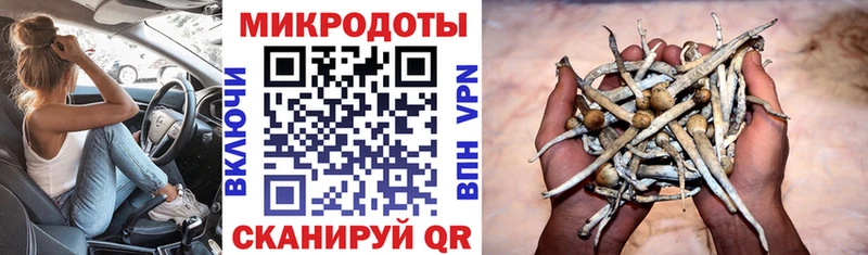 Галлюциногенные грибы Magic Shrooms  Правдинск 